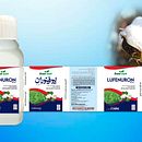 label design. Advertising, Graphic Design, Packaging, Product Design, Poster Design, Creativit, and Logo Design project by Muhammad Asif - 07.06.2022