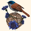 Mein Kursprojekt: Kugelschreiberzeichnungen: Naturalistische Illustration. Un proyecto de Ilustración tradicional, Dibujo, Dibujo realista e Ilustración naturalista				 de Nathalie W - 08.07.2022