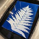 My project for course: Cyanotype: Printing with Light. Projekt z dziedziny Craft,  Sztuki piękne, Stemple, DIY i Fotografia analogowa użytkownika ruthmaude - 06.07.2022