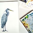 Mein Kursprojekt: Naturalistische Aquarellillustration von Vögeln . Ilustrasi tradisional, Lukisan Cat Air, Gambar Realistis & Ilustrasi Naturalistik proyek oleh Elisa Findenig - 07.10.2022