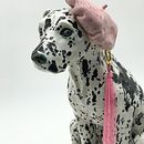 Animalistic sculptures . Un progetto di Scultura e Ceramica di Margarita Faizulina - 12.07.2022