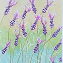 Mi proyecto del curso: Cantueso  . Ilustrație tradițională, Pictură în acuarelă & Ilustrație botanică de cristina_g_escobar - 07.12.2022