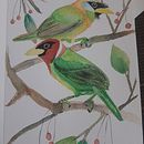 Mi proyecto del curso: Creación de paletas de color con acuarela . Ilustrasi tradisional, Seni Rupa, Lukisan, Lukisan Cat Air, Dan Teori Warna proyek oleh Marisol Rojas - 07.11.2022