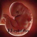 El estudio Ein Projekt aus dem Bereich Schrift, Stor, telling und Erzählung von pilarh315 - 20.07.2022