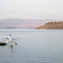 Seaplane. Een project van Fotografie van Will Huntington - 15.07.2022