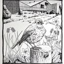 My project for course: Dip Pen and Ink Illustration: Capturing The Natural World. Un projet de Esquisse , Dessin, Dessin artistique, Carnet de croquis, Illustration à l'encre et Illustration naturaliste de Jennie Bibbings - 16.07.2022