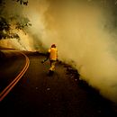 CZU fire. Photograph project by Kevin Painchaud - 07.17.2022