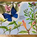 My project for course: Naturalist Journaling with Watercolor. Een project van Traditionele illustratie, Aquarelschilderen,  Botanische illustratie, Sketchbook y Naturalistische illustratie van jen_776532 - 17.07.2022