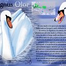 Illustrazione naturalistica di animali con Procreate: IL CIGNO REALE. Un progetto di Illustrazione tradizionale, Illustrazione digitale, Disegno realistico e Illustrazione naturalistica di Elisa Shadow - 17.07.2022