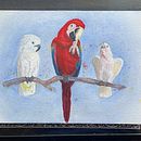My project for course: Artistic Watercolor Techniques for Illustrating Birds. Un progetto di Illustrazione tradizionale, Pittura ad acquerello, Disegno realistico e Illustrazione naturalistica di Tari Voydanoff - 18.07.2022