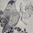Mi proyecto del curso: Ilustración naturalista con bolígrafo. Un proyecto de Ilustración tradicional, Dibujo, Dibujo realista e Ilustración naturalista				 de cathe3007 - 18.07.2022