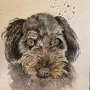 My project for course: Expressive Animal Portraits in Watercolor. Un projet de Illustration traditionnelle, Aquarelle, Dessin réaliste et Illustration naturaliste de winter_05 - 19.07.2022