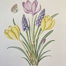 My project for course: Illustrating Nature with Watercolor and Pen. Un proyecto de Ilustración tradicional, Bellas Artes, Pintura, Dibujo, Pintura a la acuarela e Ilustración botánica de Katia Galante - 20.07.2022