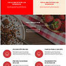 Mi proyecto del curso: Introducción al Desarrollo Web Responsive con HTML y CSS. Een project van Webdesign,  Webdevelopment, CSS y HTML van Dimensión Ex Agencia de Publicidad - 21.07.2022