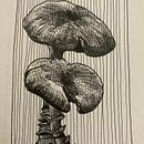 My project for course: Illustrated Diary: Fill Your Sketchbook with Experiences. Een project van Traditionele illustratie,  Schetsen,  Tekening, Sketchbook y  Illustratie met inkt van yakup3414 - 21.07.2022
