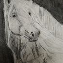 a horse of course Ein Projekt aus dem Bereich Artistische Zeichnung von helena van roosmalen Van Roosmalen - 21.07.2022
