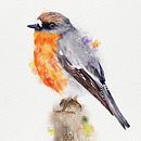 Watercolour Birds Project: Artistic Watercolor Techniques for Illustrating Birds Ein Projekt aus dem Bereich Traditionelle Illustration, Aquarellmalerei, Realistische Zeichnung und Naturalistische Illustration von Elise Parker - 22.07.2022