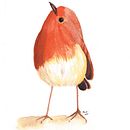 Petirojo en acuarela. Un proyecto de Ilustración tradicional de Sandra Martinez - 22.07.2022