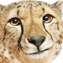 Zol Fibroniks . % Carl Khombe tarafından hazırlanan Reklamcılık, Tasarım, Animas, on, Karakter Tasarımı, Grafik Tasarım, Multimed, a, Yaratıcılık, Logo Tasarımı, Hika, e anlatımı, Ve Baskı projesi - 07.23.2022