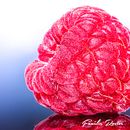 Mon projet du cours : Introduction à la macrophotographie. Een project van Fotografie, Productfotografie, Studiofotografie y Digitale fotografie van Fanelie Rosier - 23.07.2022