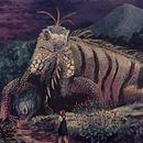 Giant lizard painting. Un projet de Beaux Arts , et Peinture de Erin Johnson - 21.07.2022