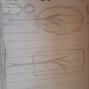 Árvores. Projekt z dziedziny Design użytkownika clarissebratti123 - 20.07.2022