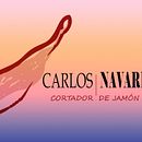 Mis trabajos de diseño gráfico. Design, Editorial Design, and Logo Design project by Sira Navarro - 07.28.2022