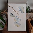 Il mio progetto del corso: Disegno e composizione naturalistica ad acquerello. Een project van Traditionele illustratie,  Tekening, Aquarelschilderen y Naturalistische illustratie van Arianna Rebecchi - 28.07.2022
