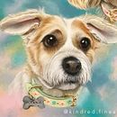 Fine Pet Portraits.  . % Lindsay Whitehead tarafından hazırlanan Güzel sanatlar projesi - 07.29.2022