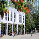 Divulgação da Biblioteca Central. Educação projeto de Márcio Nunes - 30.08.2022