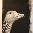 Gans sie selbst. Drawing, and Portrait Drawing project by Petra Köster - 07.31.2022