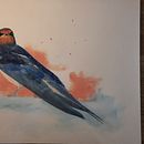 Schwalbe. Watercolor Painting project by Petra Köster - 07.31.2022
