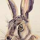 Mi proyecto del curso: Técnicas experimentales de acuarela para principiantes. Traditional illustration, Fine Arts, Watercolor Painting, and Naturalistic Illustration project by Amanda Cisneros - 08.01.2022