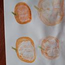 My project for course: Illustrating Nature: A Creative Exploration. Un projet de Illustration traditionnelle, Peinture, Dessin, Aquarelle, Illustration à l'encre et Illustration naturaliste de psyksue - 02.08.2022