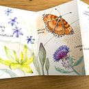 Mon projet du cours : Carnet naturaliste à l'aquarelle. Een project van Traditionele illustratie, Aquarelschilderen,  Botanische illustratie, Sketchbook y Naturalistische illustratie van Stephanie Henao - 02.08.2022