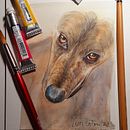 Mi proyecto del curso: Retratos expresivos de animales en acuarela- Sirah. Ilustração tradicional, Pintura em aquarela, Desenho realista e Ilustração naturalista projeto de Viviana Coton - 03.08.2022