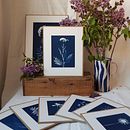 Cyanotypes originaux encadrés. Fine-Art Photograph, Arts, Crafts, and Fine Arts project by Carasco / Emilie Lacour - 08.03.2022