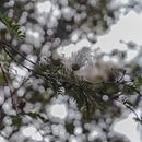 Exprimentando as cores. Un projet de Photographie extérieure, Photographie pour Instagram, Composition photographique , et Théorie des couleurs de Jojo Seixas - 03.08.2022