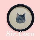 Needle painting: Sir Coco. Projekt z dziedziny  Haft, Ilustracja naturalist, czna, Wzornictwo tekst i liów użytkownika Rosa - 03.08.2022