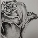 Rose Ein Projekt aus dem Bereich Traditionelle Illustration von lisam_zan - 04.08.2022
