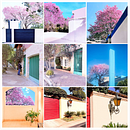 My project for course: Photography with Color: Create a Cinematic Look Ein Projekt aus dem Bereich Außenfotografie, Fotografie für Instagram, Fotografische Komposition und Farbenlehre von Mabel Avila - 03.08.2022