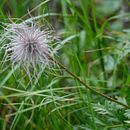 Mein Kursprojekt: Fotografie für Anfänger: Grundlagen der Digitalkamera . Een project van Fotografie, Digitale fotografie y Fotografische compositie van Christof Hotz - 06.08.2022