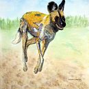 My project for course: Scientific Illustration of Animals in Watercolor . Een project van Traditionele illustratie, Aquarelschilderen, Realistische tekening y Naturalistische illustratie van Chris Callaghan - 07.08.2022