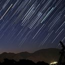 Mi proyecto del curso: Introducción a la escritura fantástica y de ciencia ficción- "Estudio sobre la pigmentación del pelaje de los gatos en Venus". Un proyecto de Escritura, Stor, telling, Narrativa, Escritura de ficción y Escritura creativa de Roberto David Ortega - 26.08.2022