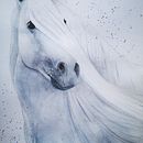 My project for course: Expressive Animal Portraits in Watercolor . % Chanel tarafından hazırlanan Geleneksel illüstras, on, Sulubo, a Resim, Gerçekçi Çizim, Doğalcı İllüstras, Ve on projesi - 08.08.2022
