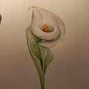 Mis Dibujos. Projekt z dziedziny Trad, c i jna ilustracja użytkownika Maria Ancillotti - 09.08.2022