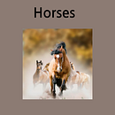 Mi proyecto del curso: Diseño de porfolios con Figma: promociónate como creativo. Un progetto di Design, UX / UI, Consulenza creativa, Marketing, Web design, Creatività e Gestione di un portfolio di Valeria Marlen - 10.08.2022