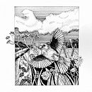 Mój projekt z kursu: Rysunki piórkiem i tuszem: przedstaw świat przyrody . Schițe, Desen, Desen artistic, Caiet de schițe, Ilustrație cu cerneală & Ilustrație naturalistă de Weronika Anna Połtyn - 08.10.2022