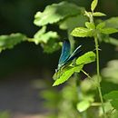 Mi proyecto del curso: Fotografía para principiantes: descubre tu cámara digital . % Alain Perón Hernández tarafından hazırlanan Fotoğrafçılık, Dijital Fotoğrafçılık, Fotoğrafik Kompozis, Ve on projesi - 08.11.2022