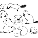 Studies on otters and beavers . % elelilla tarafından hazırlanan Geleneksel illüstras, on, Karakter Tasarımı, Güzel sanatlar, Çizim, Dijital İllüstras, Ve on projesi - 08.11.2022